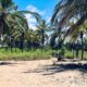 5 acres Beach Front Land for Sale in Kalpitiya