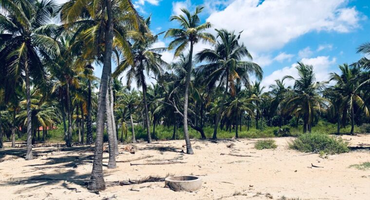 5 acres Beach Front Land for Sale in Kalpitiya