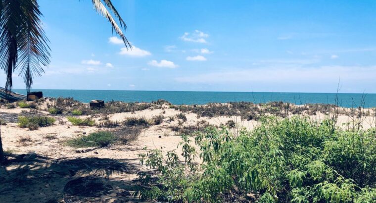 5 acres Beach Front Land for Sale in Kalpitiya