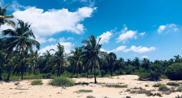 5 acres Beach Front Land for Sale in Kalpitiya