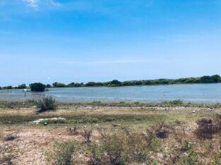 5 acres Lagoon Front Land for Sale in Kalpitiya