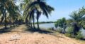 5 acres Lagoon Front Land for Sale in Kalpitiya