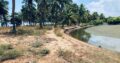 5 acres Lagoon Front Land for Sale in Kalpitiya