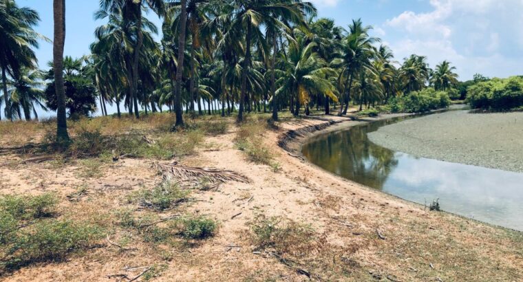 5 acres Lagoon Front Land for Sale in Kalpitiya