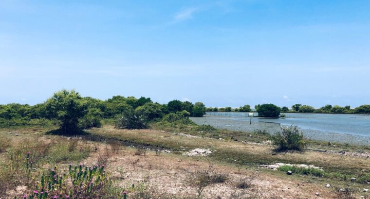 5 acres Lagoon Front Land for Sale in Kalpitiya