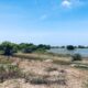 5 acres Lagoon Front Land for Sale in Kalpitiya