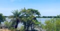 5 acres Lagoon Front Land for Sale in Kalpitiya