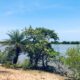 5 acres Lagoon Front Land for Sale in Kalpitiya