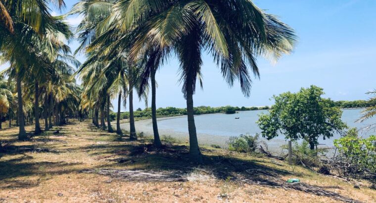 5 acres Lagoon Front Land for Sale in Kalpitiya