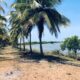 5 acres Lagoon Front Land for Sale in Kalpitiya