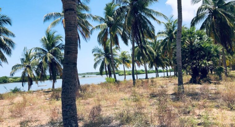 5 acres Lagoon Front Land for Sale in Kalpitiya