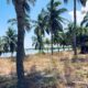 5 acres Lagoon Front Land for Sale in Kalpitiya