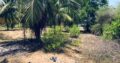 5 acres Lagoon Front Land for Sale in Kalpitiya