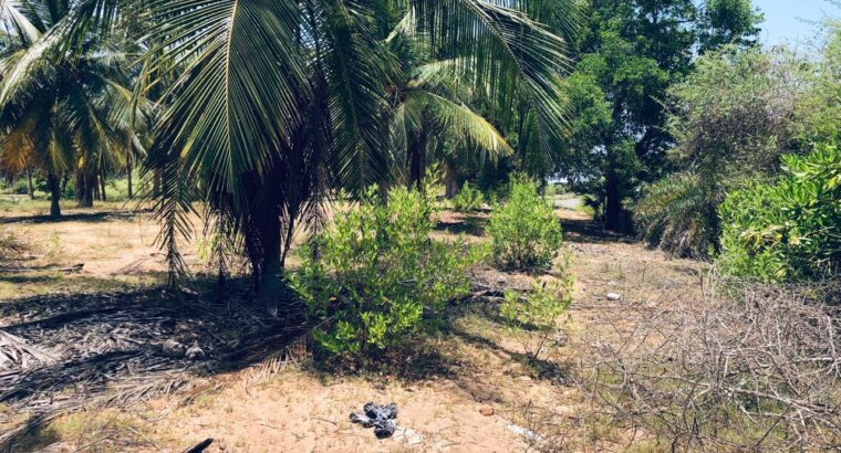 5 acres Lagoon Front Land for Sale in Kalpitiya