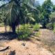 5 acres Lagoon Front Land for Sale in Kalpitiya