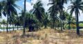 5 acres Lagoon Front Land for Sale in Kalpitiya