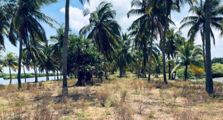 5 acres Lagoon Front Land for Sale in Kalpitiya