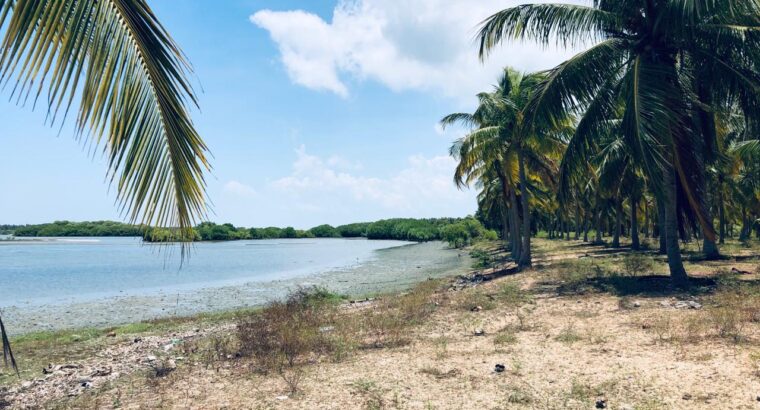 5 acres Lagoon Front Land for Sale in Kalpitiya