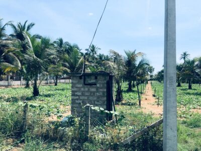 160 perch Beach Front Land for Sale in Madurankuliya, Toduwawa