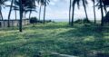 42 perch On the Beach Property for Sale in Marawila, Barudalpola