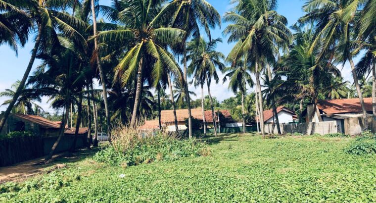 42 perch On the Beach Property for Sale in Marawila, Barudalpola