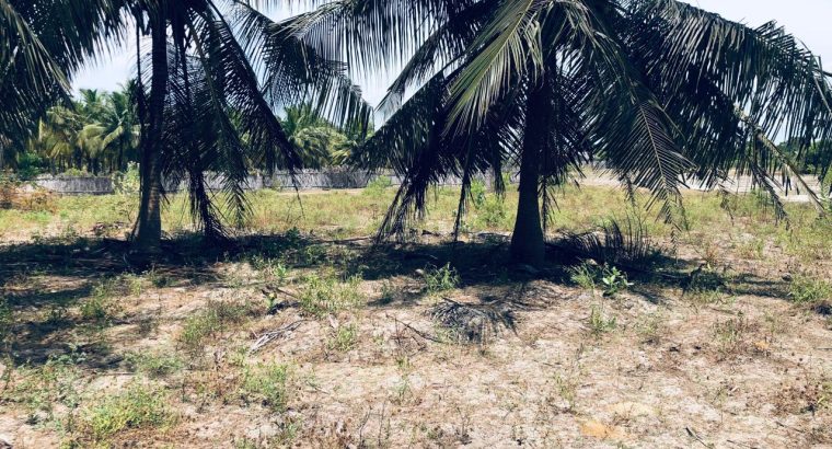 1.5 acres Lagoon front Property for Sale in Kalpitiya