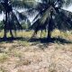 1.5 acres Lagoon front Property for Sale in Kalpitiya