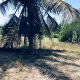 1.5 acres Lagoon front Property for Sale in Kalpitiya