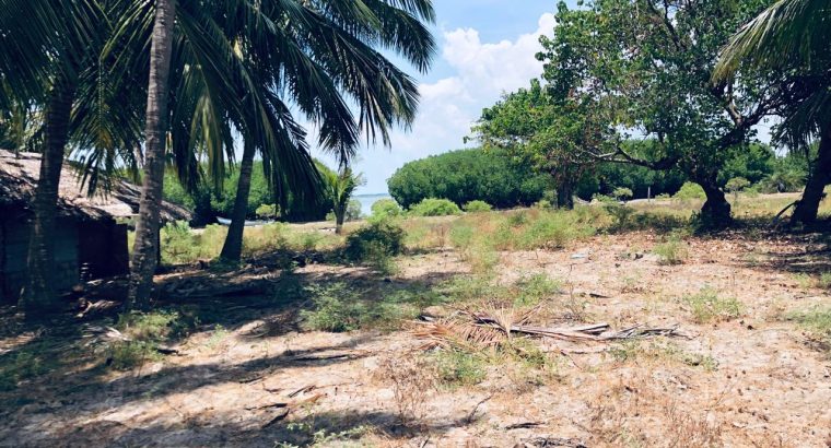 1.5 acres Lagoon front Property for Sale in Kalpitiya