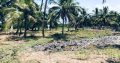 1.5 acres Lagoon front Property for Sale in Kalpitiya