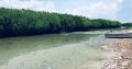 1.5 acres Lagoon front Property for Sale in Kalpitiya