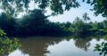120 perch River Front Property