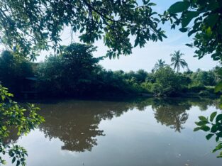 120 perch River Front Property