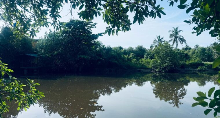 120 perch River Front Property