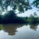 120 perch River Front Property
