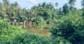 120 perch River Front Property
