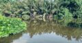 120 perch River Front Property