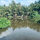 120 perch River Front Property