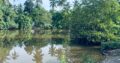 120 perch River Front Property