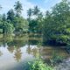 120 perch River Front Property