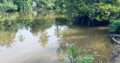 120 perch River Front Property