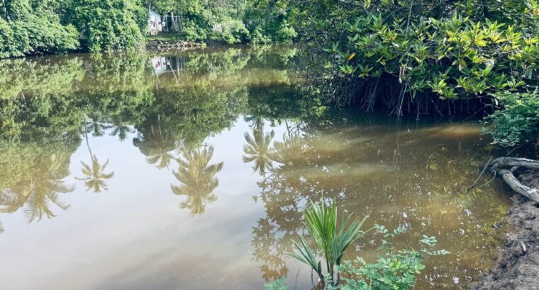120 perch River Front Property
