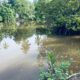 120 perch River Front Property