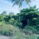 120 perch River Front Property
