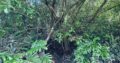 120 perch River Front Property