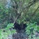 120 perch River Front Property