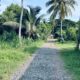 120 perch River Front Property