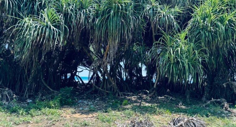 80 perch On the Beach Property