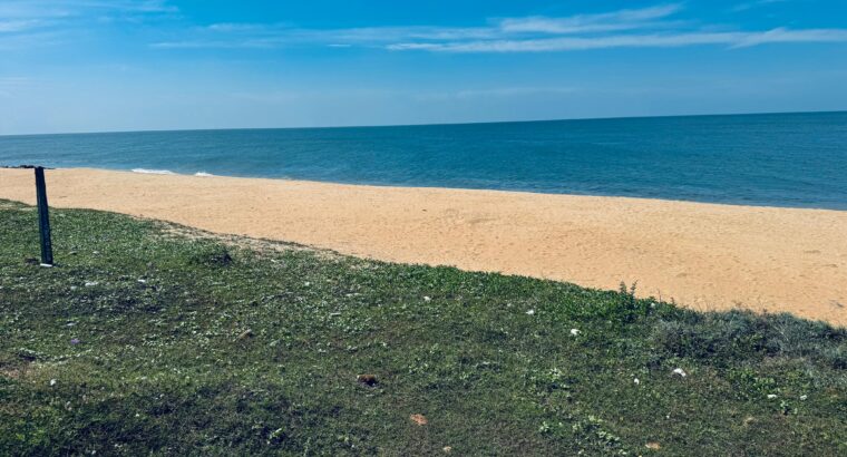 25 perch Face to Beach Property