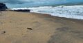27.5 perch Beach Front Property